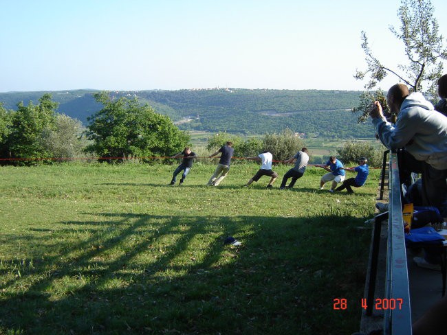 Sečovlje 2007 - foto povečava