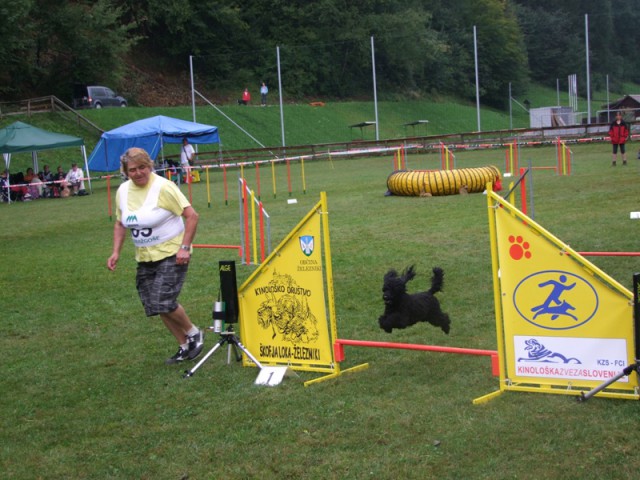 Agility tekma 2009 - foto