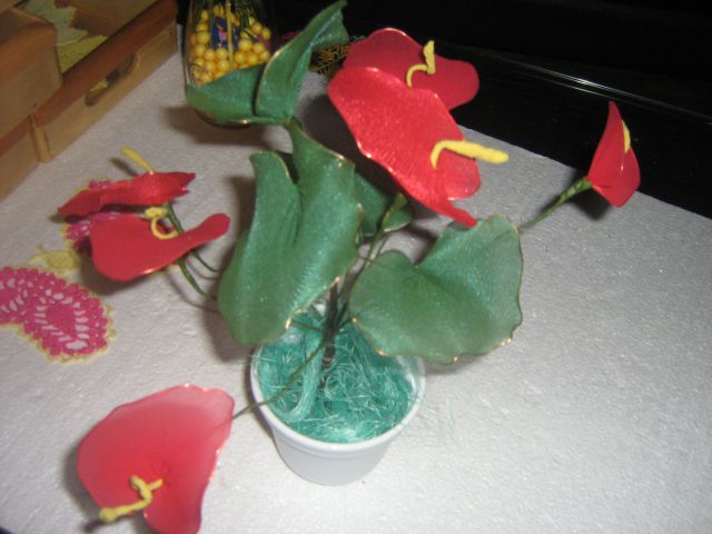 Kvačkane rože - foto
