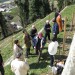 Pisana druščina na rezi vinske trte . . .
