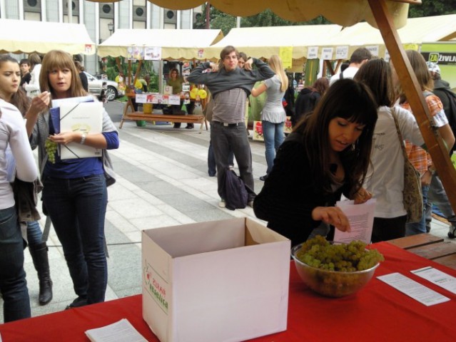 Festival.Ljubljana2.10.09  - foto