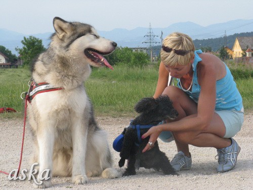 Sprehod - Aska in Kaja - 21.5.2009 - foto povečava