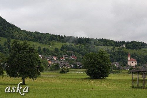 Aska in Staf - zjutraj - 31.5.2009  - foto