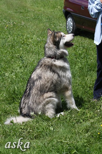 Aska in Staf - popoldan - 31.5.2009 - foto povečava