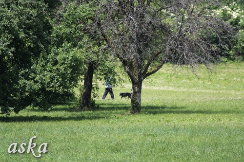 Aska in Staf - popoldan - 31.5.2009 - foto povečava