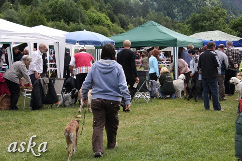 CAC Hrušica - 31.5.2009 - b - foto povečava