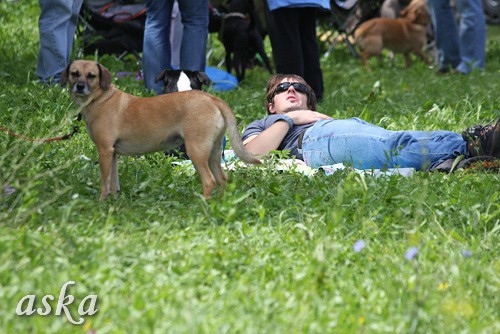 Dolsko - Trening Lure coursing - 25.6.2009 - foto