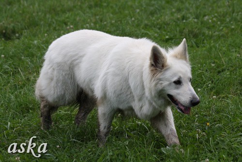 Tivoli - Aska in Kana - 9.6.2009 - foto povečava