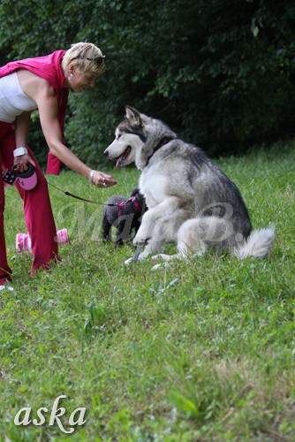 Grad - Aska in Kaja - 9.6.2009 - foto povečava