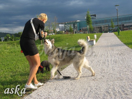 Sprehod - Aska in Kaja - 11.6.2009 - foto povečava