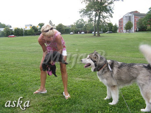 Sprehod - Aska in Kaja - 16.6.2009 - foto povečava