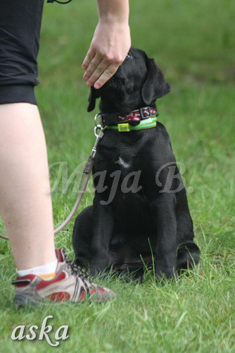 ŠKD BAJKA - igralne urice - 2.7.2009 - foto