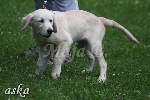 ŠKD BAJKA - igralne urice - 2.7.2009 - foto