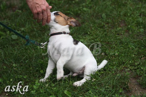 ŠKD BAJKA - igralne urice - 2.7.2009 - foto