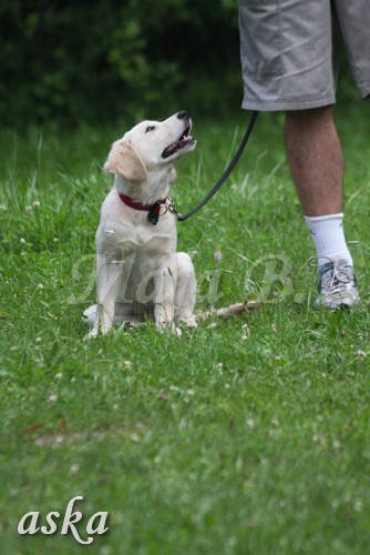 ŠKD BAJKA - igralne urice - 2.7.2009 - foto