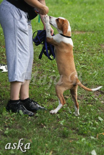 ŠKD BAJKA - igralne urice - 2.7.2009 - foto