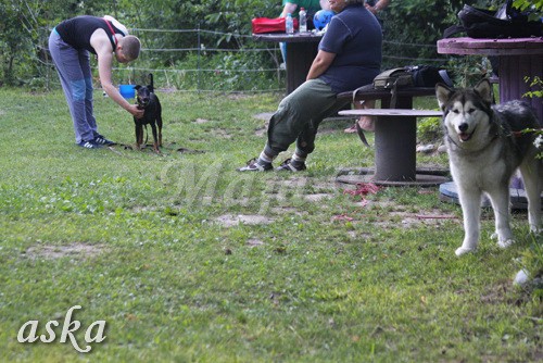 ŠKD BAJKA - mala šola in igralne urice - 18.6 - foto