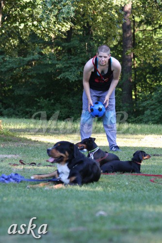 ŠKD BAJKA - mala šola in igralne urice - 18.6 - foto povečava