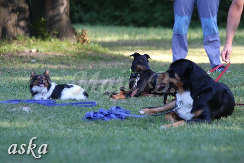 ŠKD BAJKA - mala šola in igralne urice - 18.6 - foto povečava