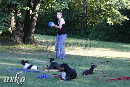 ŠKD BAJKA - mala šola in igralne urice - 18.6 - foto