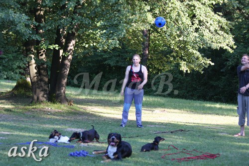 ŠKD BAJKA - mala šola in igralne urice - 18.6 - foto povečava