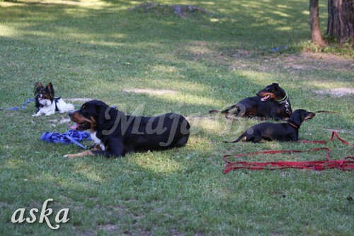 ŠKD BAJKA - mala šola in igralne urice - 18.6 - foto