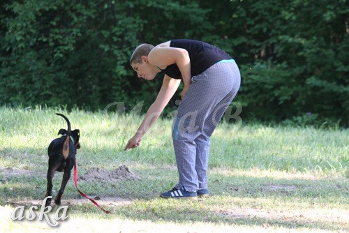 ŠKD BAJKA - mala šola in igralne urice - 18.6 - foto