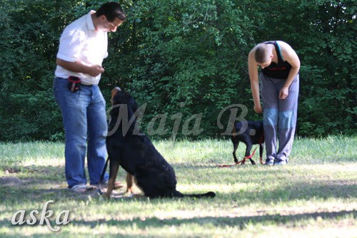 ŠKD BAJKA - mala šola in igralne urice - 18.6 - foto
