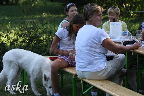 Piknik Belih švicarskih ovčarjev - 15.8.2009 - foto povečava