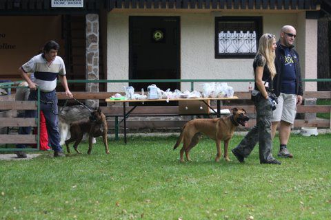 6. mojpes.net piknik, Varpolje, 20.9.2009 - foto