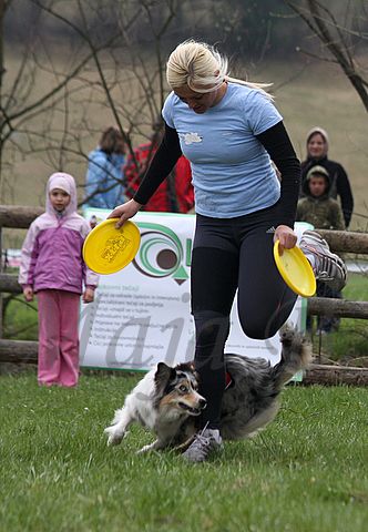 1.tekmovanje vlečnih psov,Logatec,10.4.2010 - foto