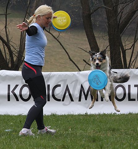 1.tekmovanje vlečnih psov,Logatec,10.4.2010 - foto