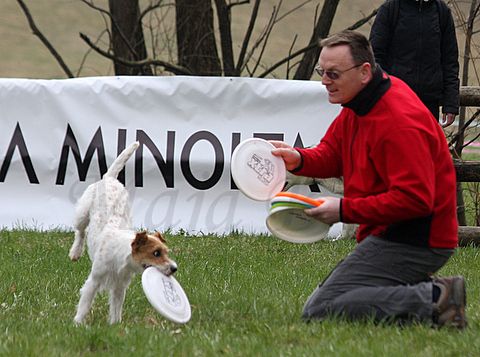 1.tekmovanje vlečnih psov,Logatec,10.4.2010 - foto povečava