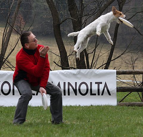 1.tekmovanje vlečnih psov,Logatec,10.4.2010 - foto