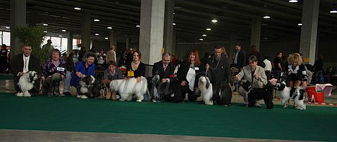 Dog-show, St. Gallen, 8.5.2010 - foto