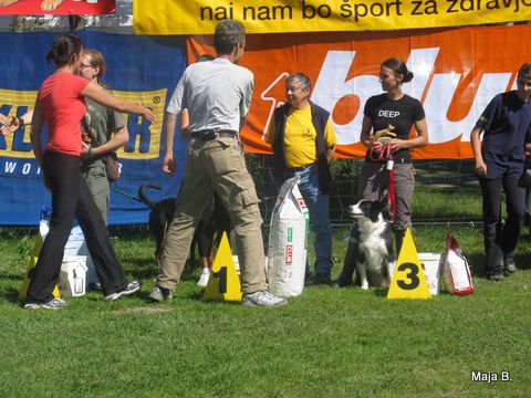 KD Ovčar Škofja loka, agility, 11.9.2010 - foto povečava