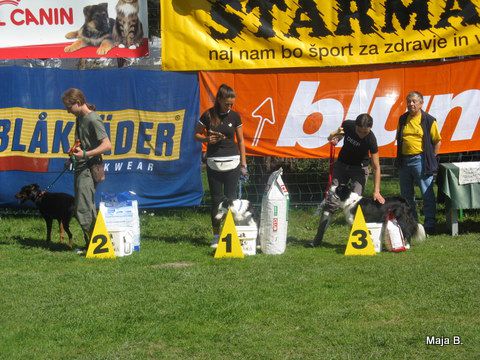 KD Ovčar Škofja loka, agility, 11.9.2010 - foto