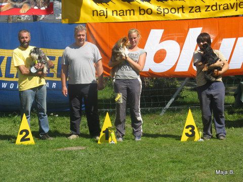 KD Ovčar Škofja loka, agility, 11.9.2010 - foto