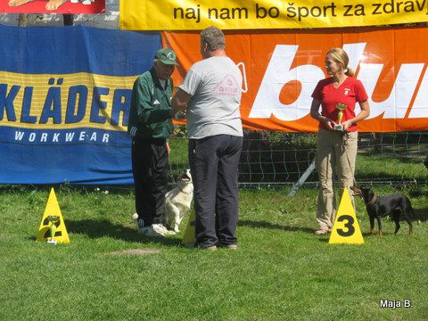 KD Ovčar Škofja loka, agility, 11.9.2010 - foto