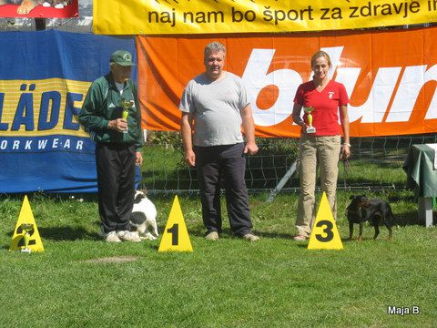 KD Ovčar Škofja loka, agility, 11.9.2010 - foto