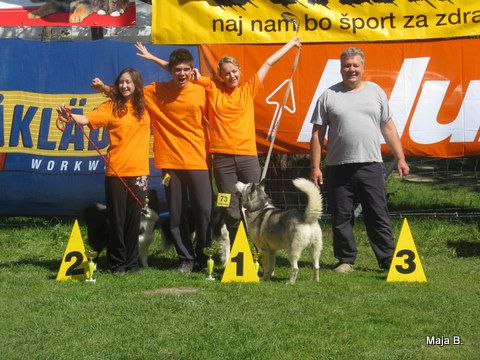 KD Ovčar Škofja loka, agility, 11.9.2010 - foto povečava