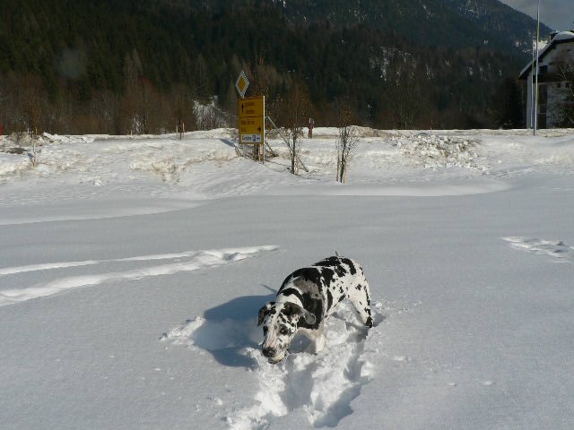 Še vedno je zima - foto