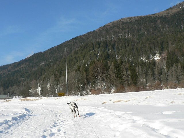 Še vedno je zima - foto