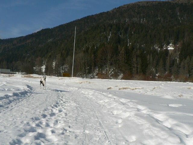 Še vedno je zima - foto