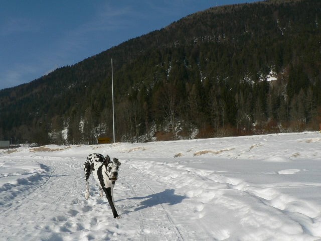 Še vedno je zima - foto