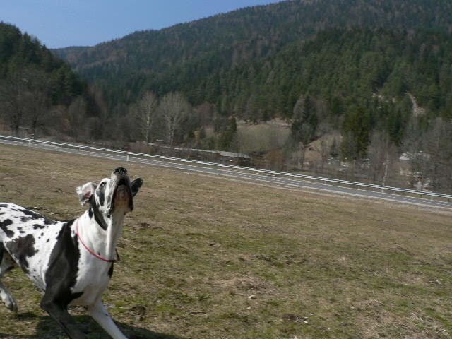 Skoraj pomlad - foto povečava