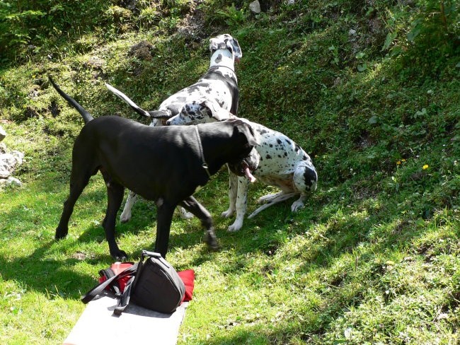 Hera in Lupus na Mavrincu - foto povečava