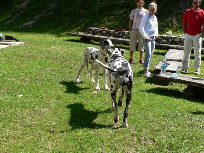 Hera in Lupus na Mavrincu - foto povečava