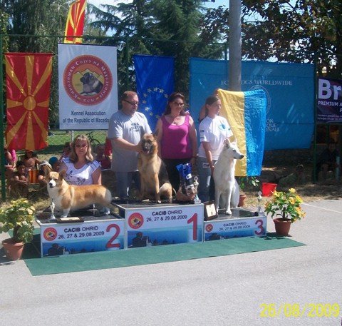 26.08.2009 CACIB Ohrid:    CAC;CACIB;BOB;BOG