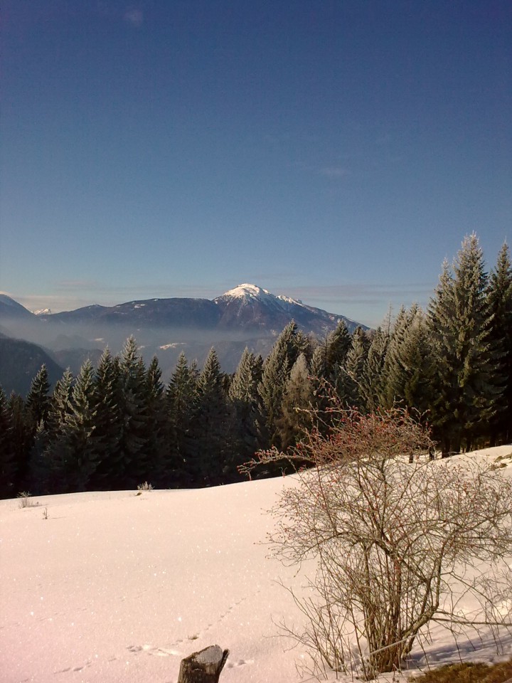 Tekaška zima - foto povečava